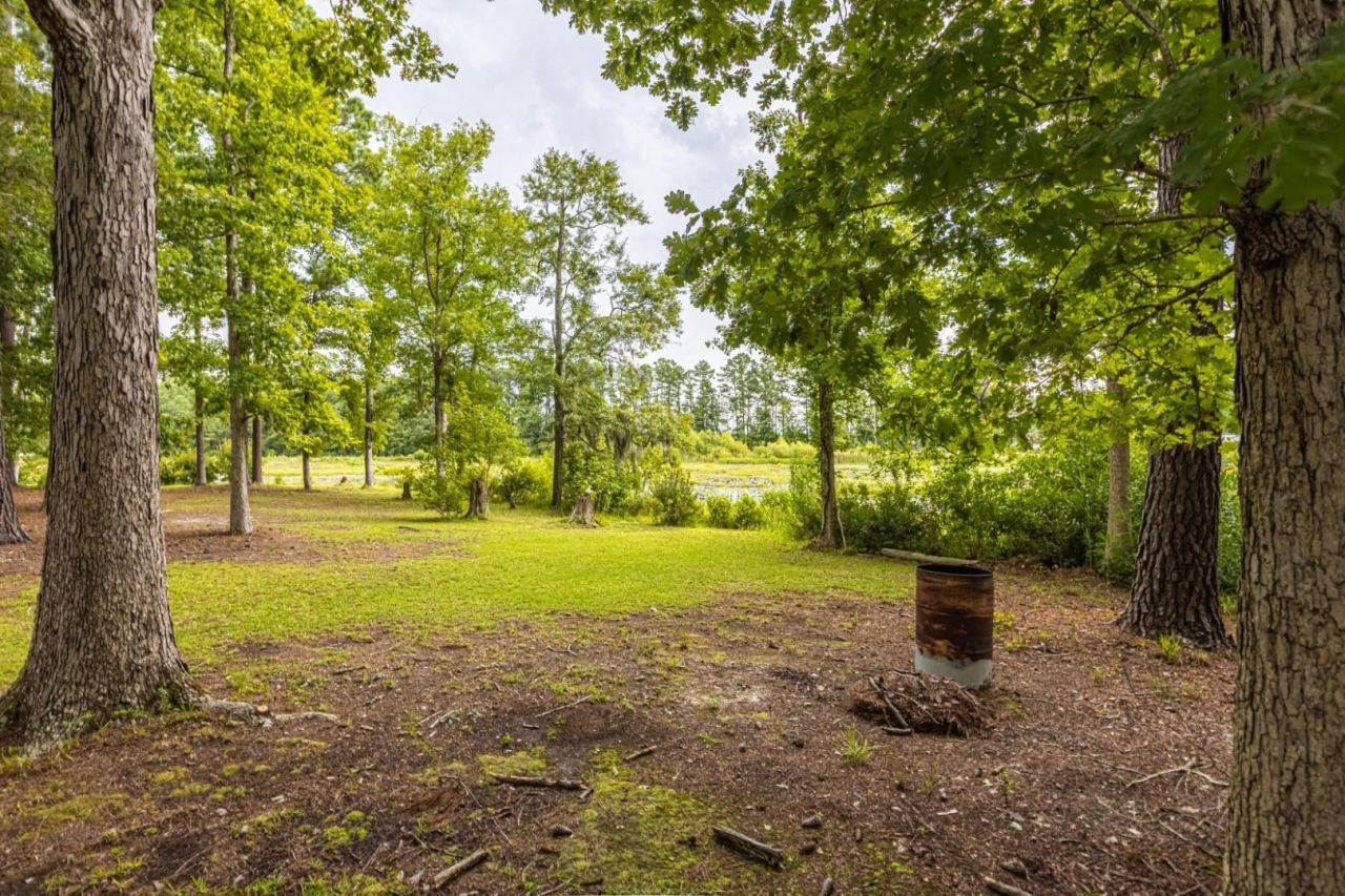 271 Williamson Lake Circle Photo 30