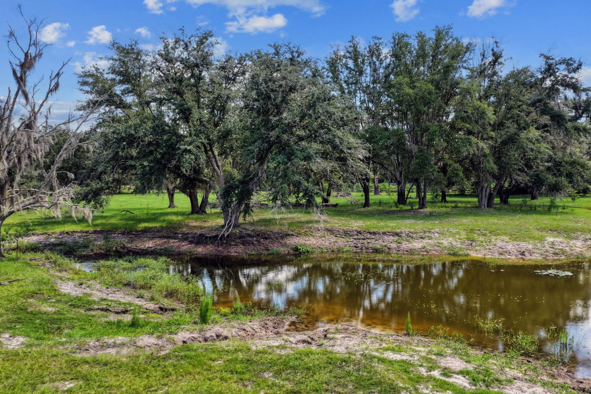 7885 Beach Rd , Perry, FL 32348 Photo
