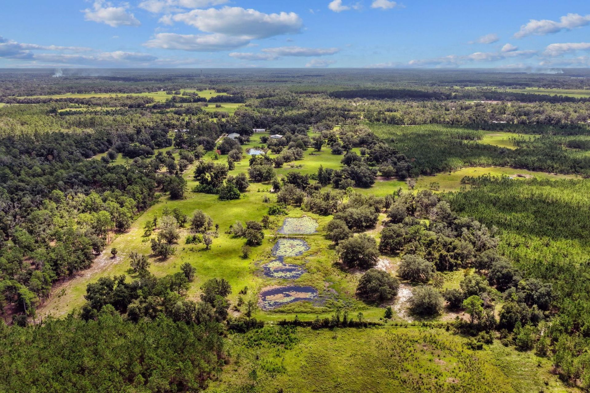 7885 Beach Rd , Perry, FL 32348 Photo