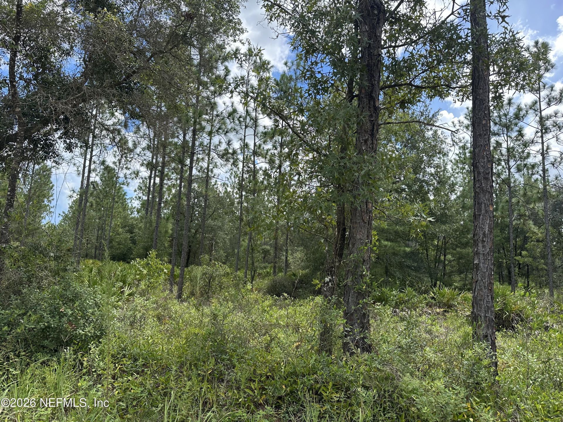 Lot 21a Bellamy Road, Florahome, FL 32140 Photo