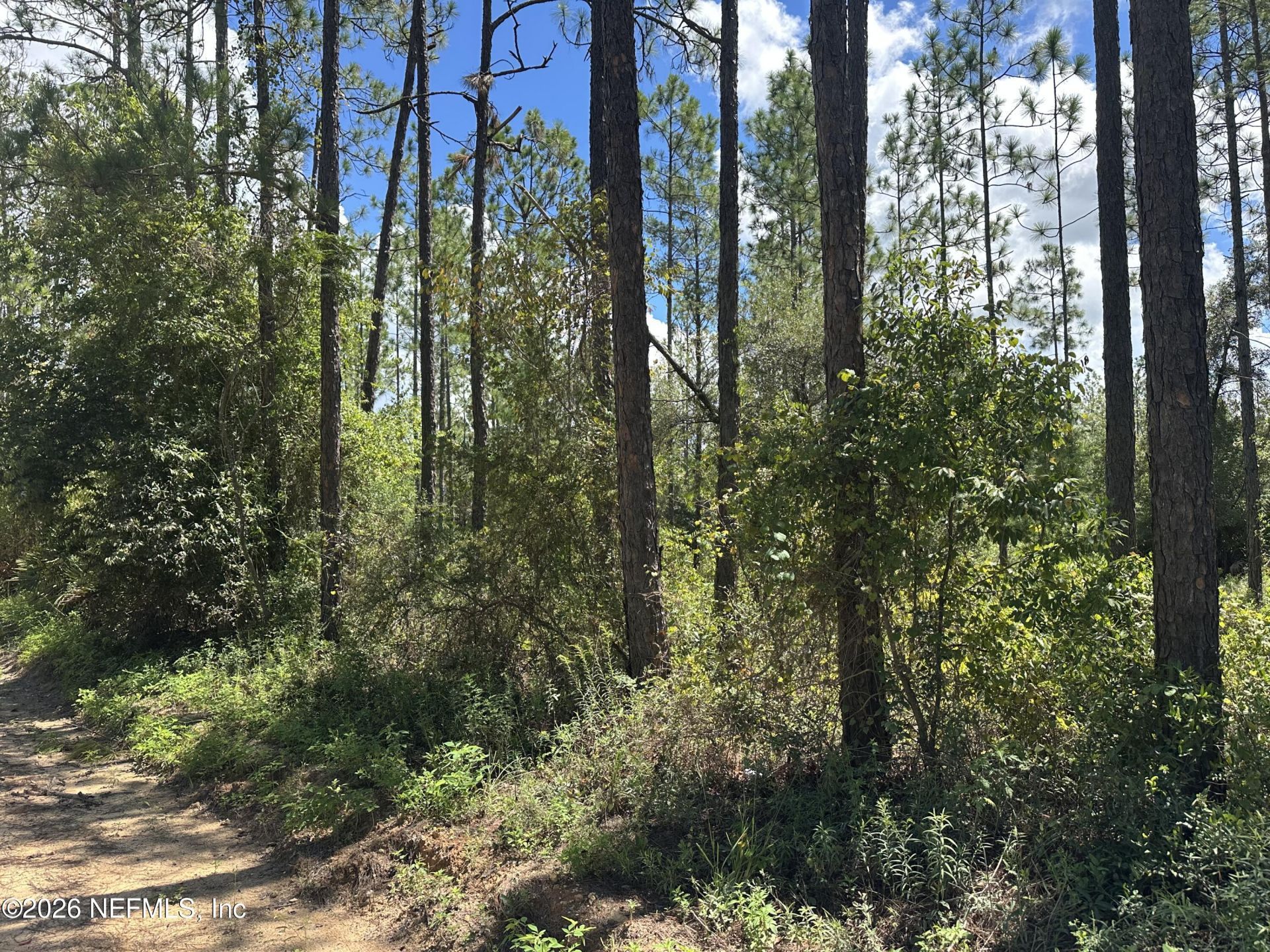 Lot 21a Bellamy Road, Florahome, FL 32140 Photo