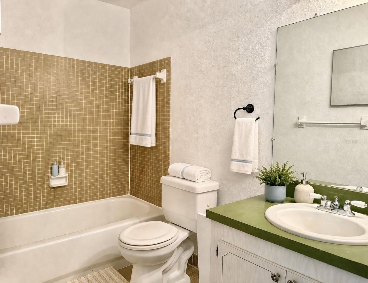 350 79th Ave N, Unit 102, Saint Petersburg, FL 33702 Photo