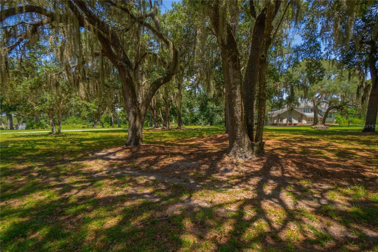 9807 E Lake Tahoe Drive , Inverness, FL 34450 Photo