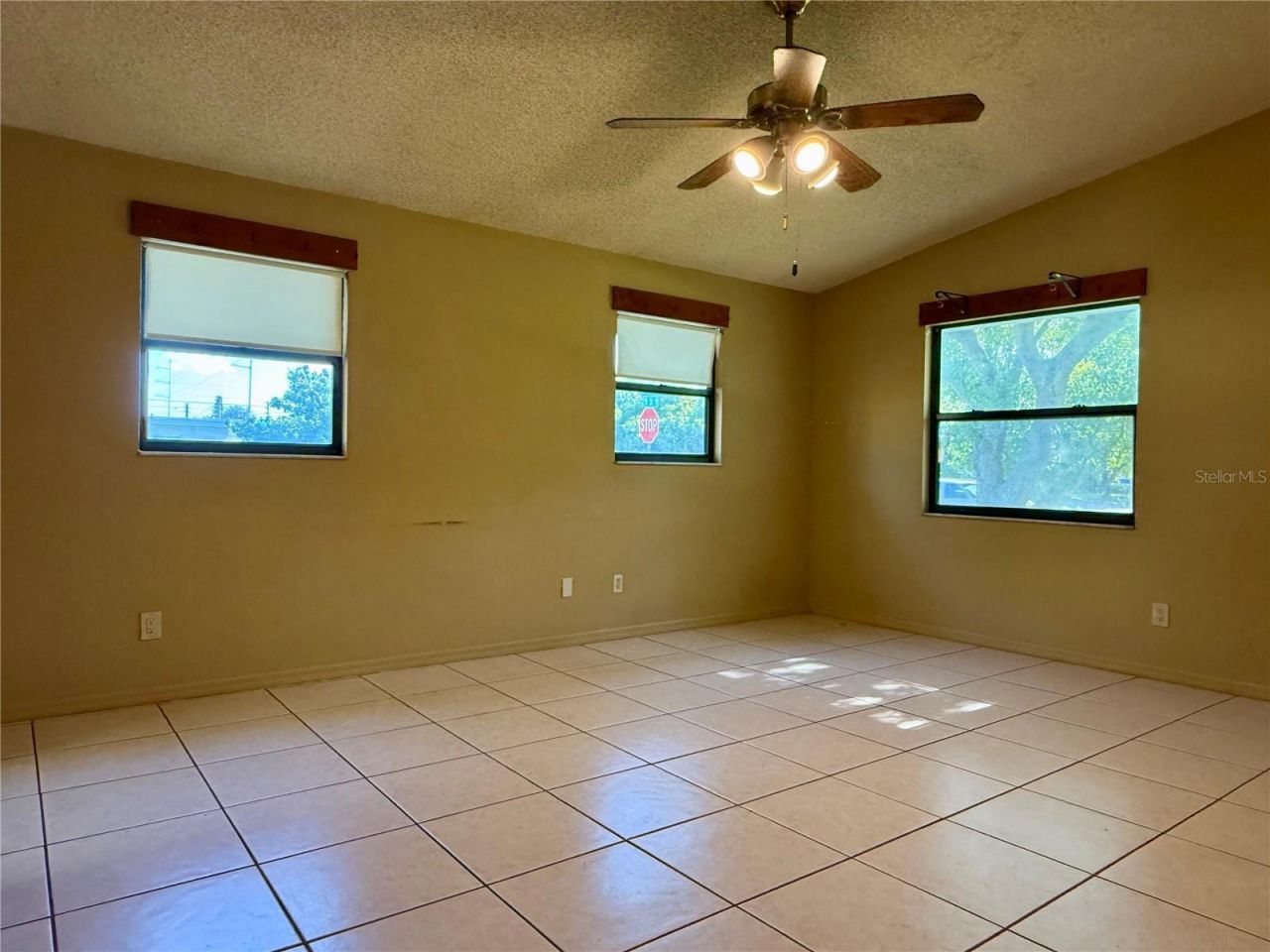 3646 28th Street N, Saint Petersburg, FL 33713 Photo