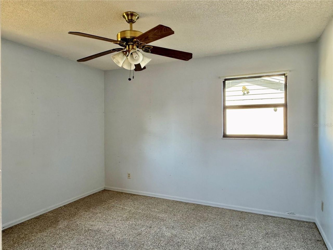 3646 28th Street N, Saint Petersburg, FL 33713 Photo