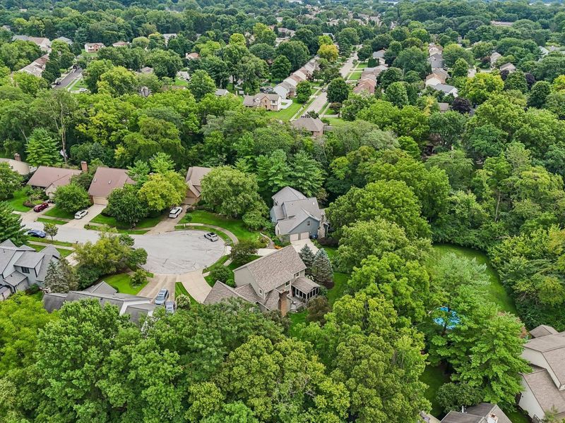 255 Luke Court, Westerville, OH 43081 Photo 70