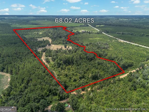 TBD Nicholson-Carr Road, Chester, GA 31012