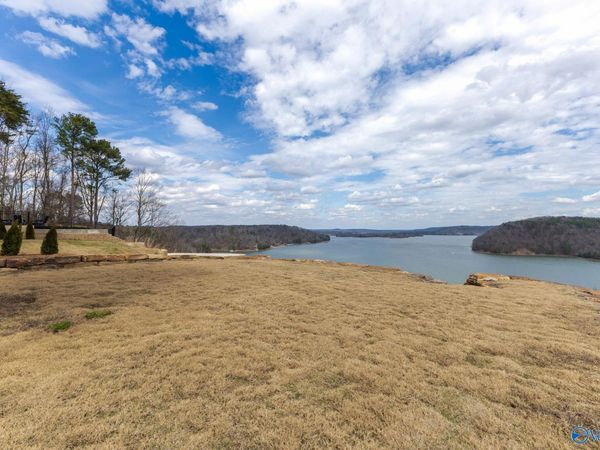 Lot 9 County Road 446, Crane Hill, AL 35053
