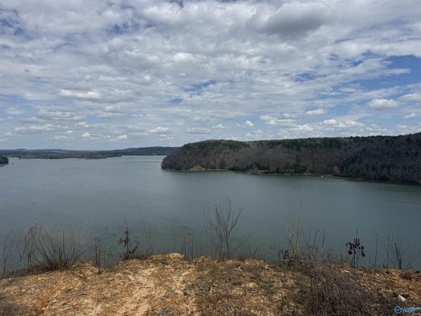 Lot 9 County Road 446, Crane Hill, AL 35053