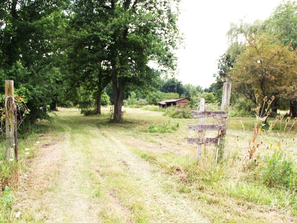12817 Yale Road, Brockway, MI 48097