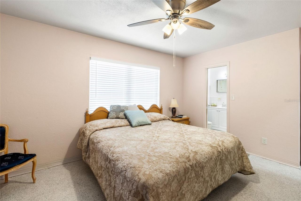3000 Ponce De Leon Way S, Saint Petersburg, FL 33712 Photo