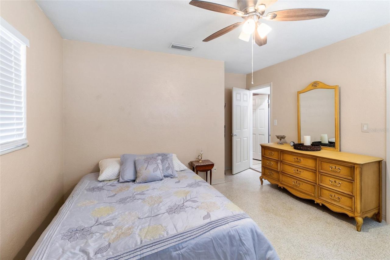 3000 Ponce De Leon Way S, Saint Petersburg, FL 33712 Photo