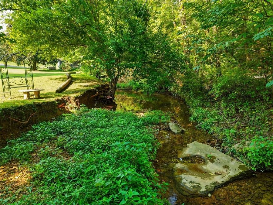 Property Image 35