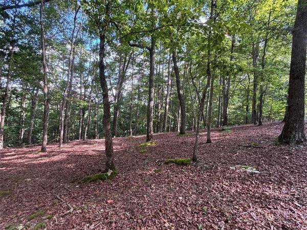 LOT 5 Westwood Avenue , Blairsville, GA 30512
