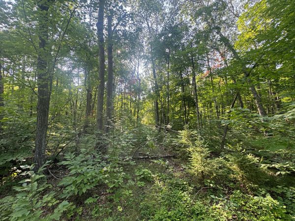 TBD Howard Lake Road NW, Akeley, MN 56433