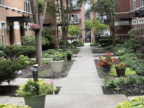 529 Chicago Avenue, Unit F, Evanston, IL 60202