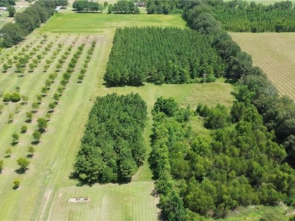 0 BORDELON Road , Hessmer, LA 71341