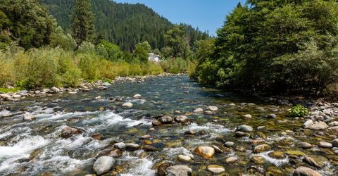 101 Commercial St, Downieville, CA 95936 Photo