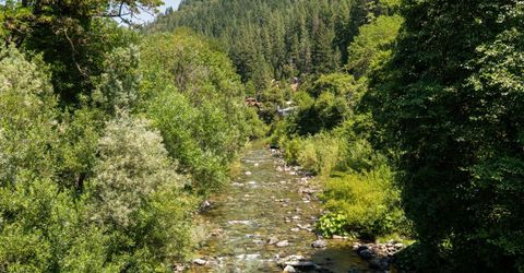 101 Commercial St, Downieville, CA 95936 Photo