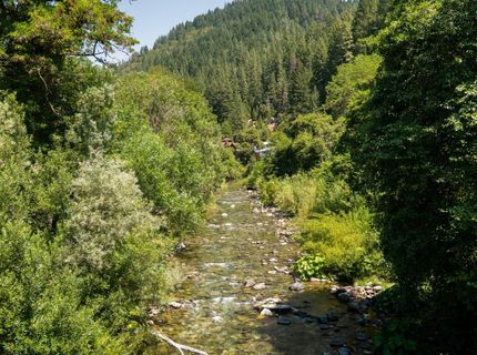 101 Commercial St, Downieville, CA 95936 Photo