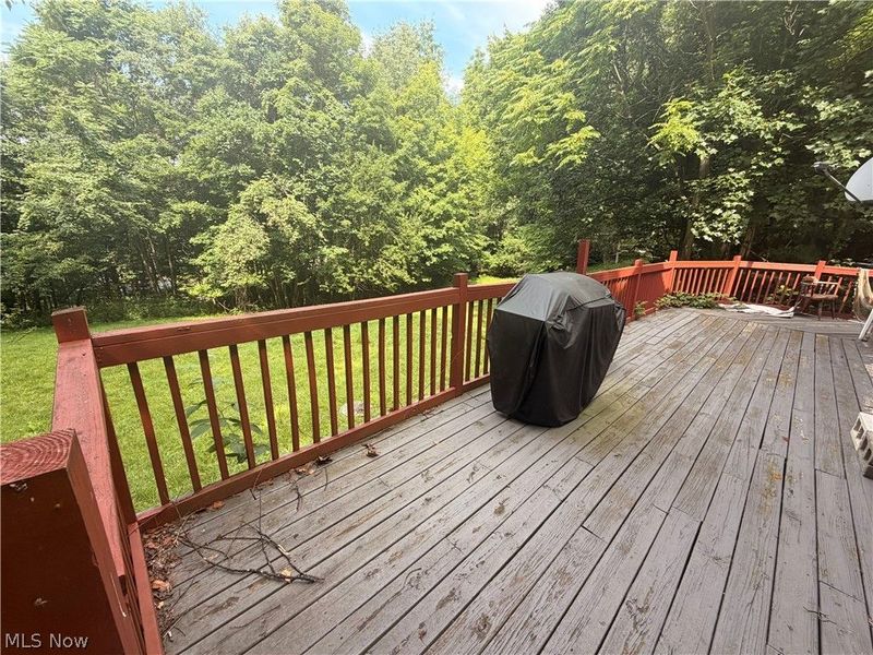 37301 Morrow Road, Scio, OH 43988 Photo 20