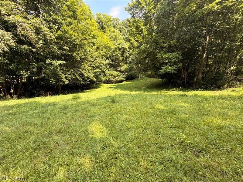 37301 Morrow Road, Scio, OH 43988 Photo 23