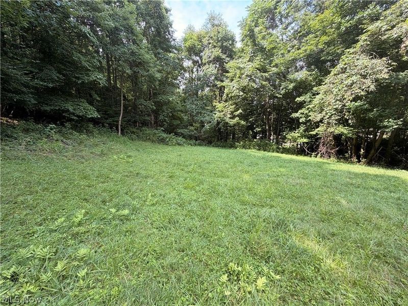 37301 Morrow Road, Scio, OH 43988 Photo 24