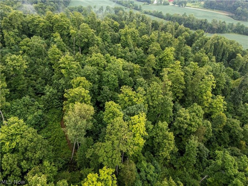 0 Township Road 252, Killbuck, OH 44637 Photo 10