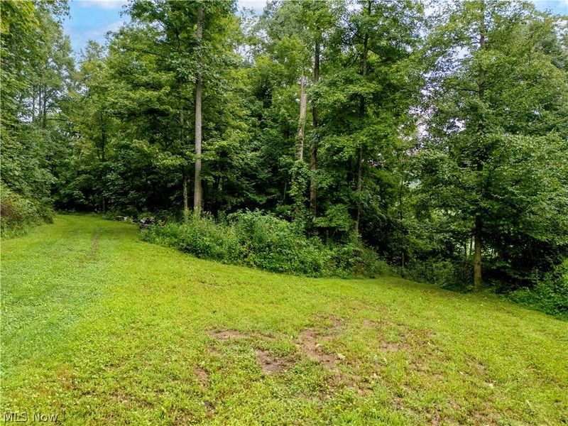 0 Township Road 252, Killbuck, OH 44637 Photo 11