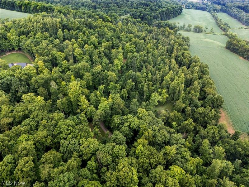 0 Township Road 252, Killbuck, OH 44637 Photo 12