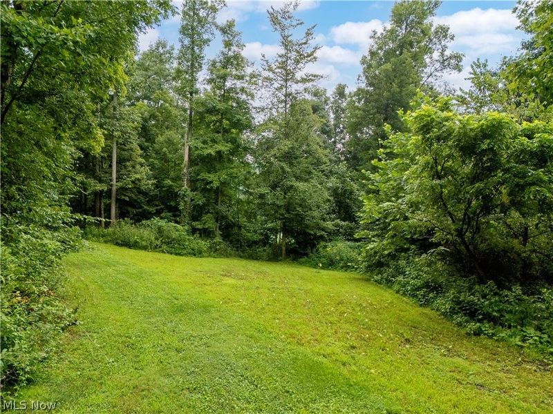 0 Township Road 252, Killbuck, OH 44637 Photo 13