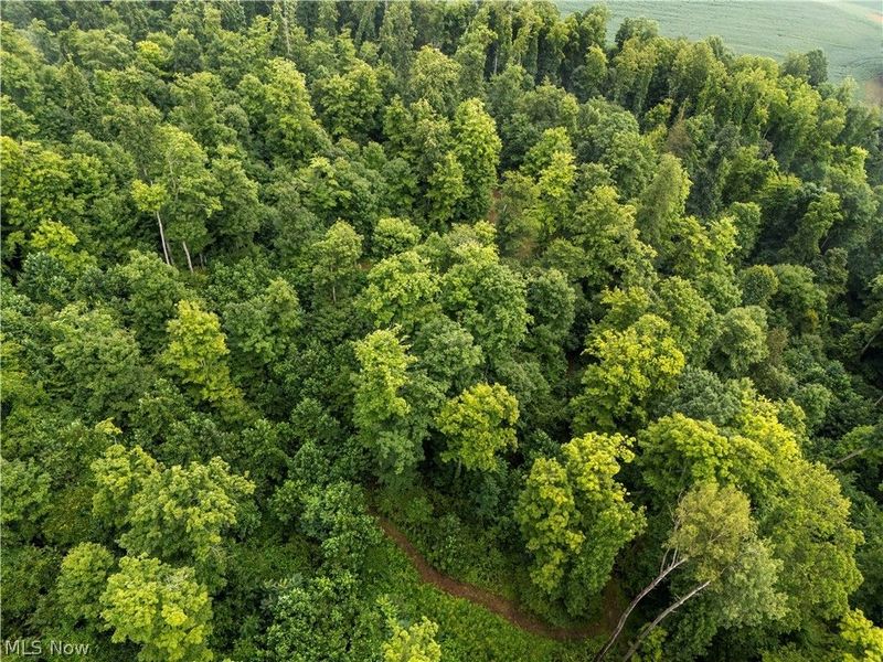 0 Township Road 252, Killbuck, OH 44637 Photo 14