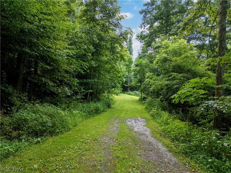 0 Township Road 252, Killbuck, OH 44637 Photo 16