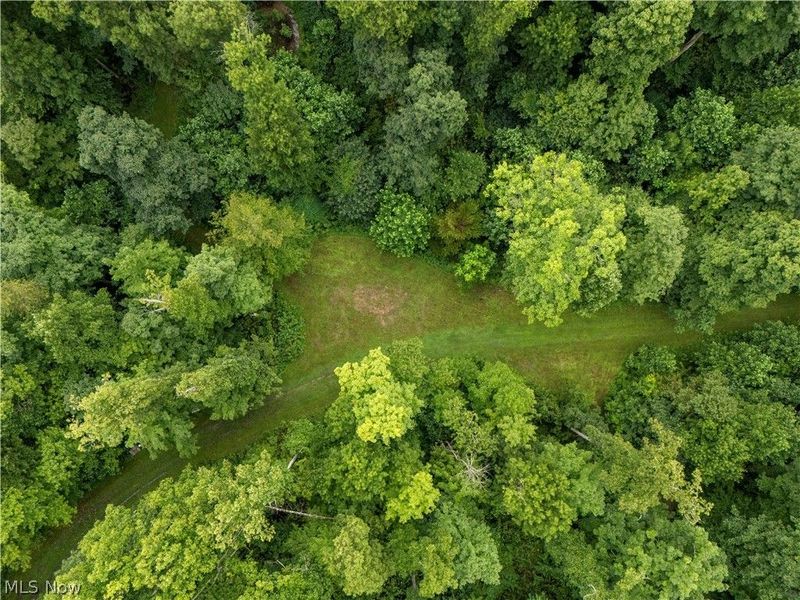 0 Township Road 252, Killbuck, OH 44637 Photo 3