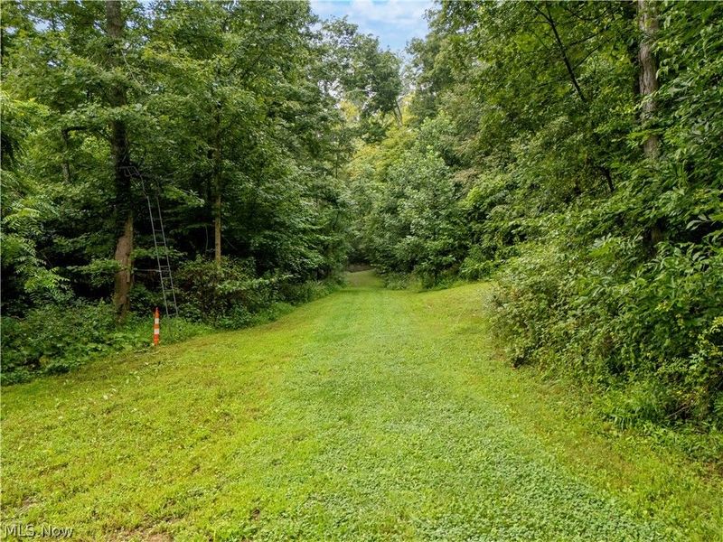 0 Township Road 252, Killbuck, OH 44637 Photo 4