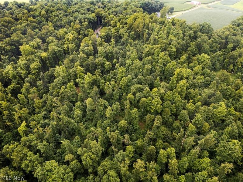 0 Township Road 252, Killbuck, OH 44637 Photo 8