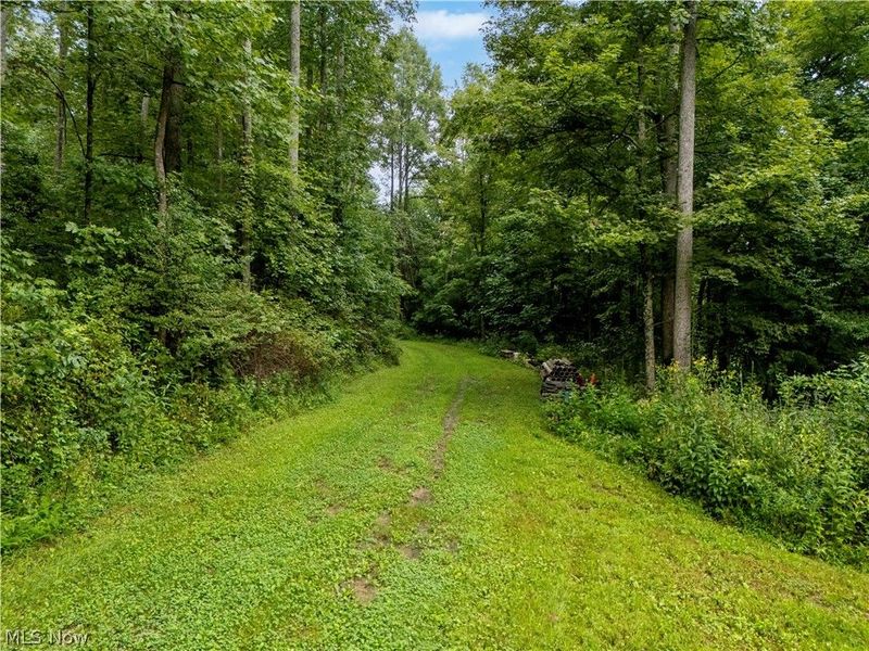 0 Township Road 252, Killbuck, OH 44637 Photo 9