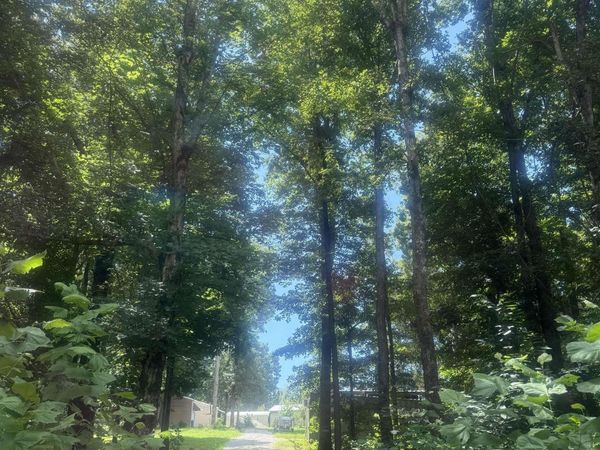 2501 Greene 516 , Lafe, AR 72436