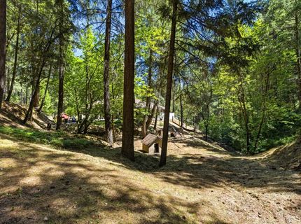4550 Newtown Rd, Placerville, CA 95667 Photo