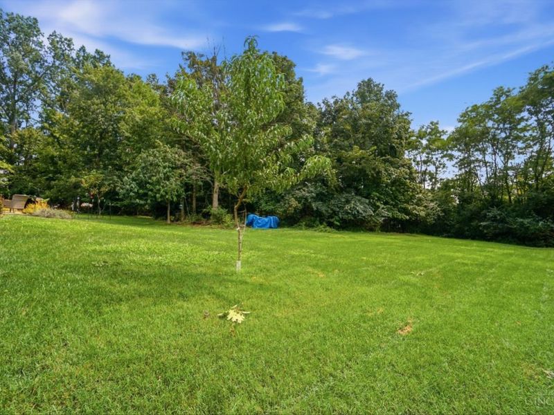 991 Caribou Run Lane, Miami Township, OH 45150 Photo 50