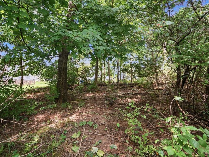 991 Caribou Run Lane, Miami Township, OH 45150 Photo 53