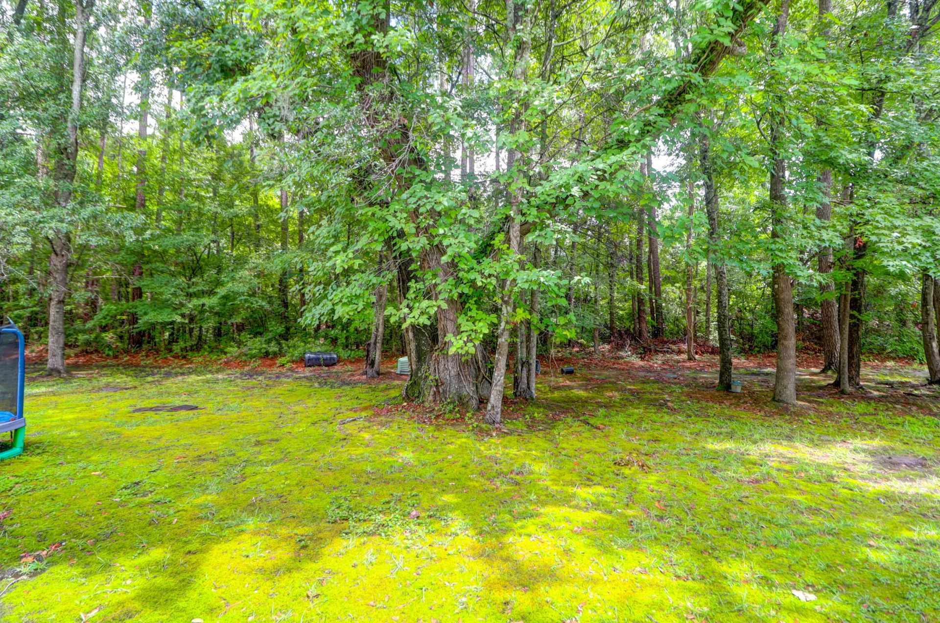 181 Grand Oaks Drive Photo 32