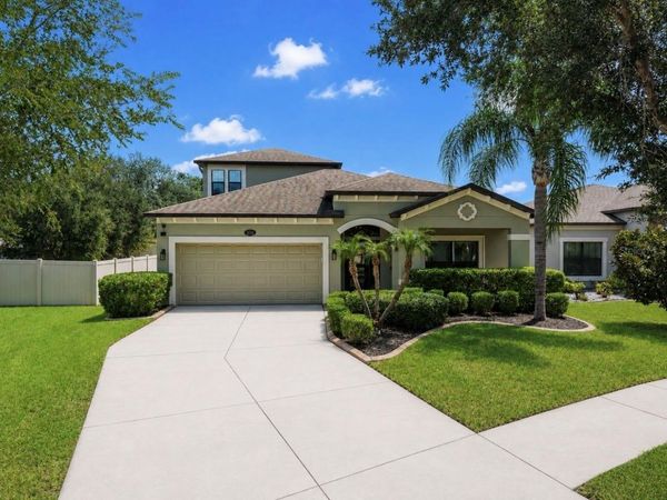 11510 SCARLET IBIS PLACE , RIVERVIEW, FL 33569