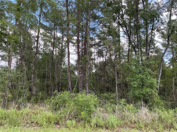 LOT 1 BAY COURT PASS , OCKLAWAHA, FL 32179