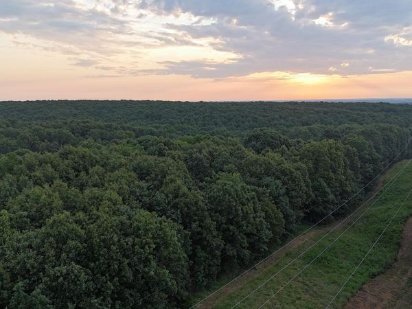000 County Rd 2100 , Mt Vernon, MO 65712