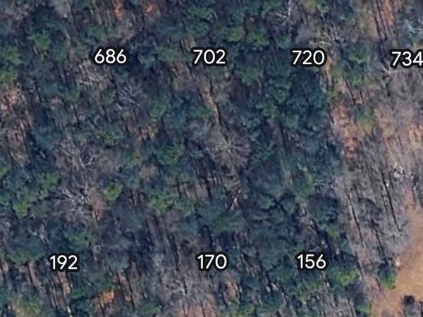 702 N Holcomb Drive, Martin, GA 30557