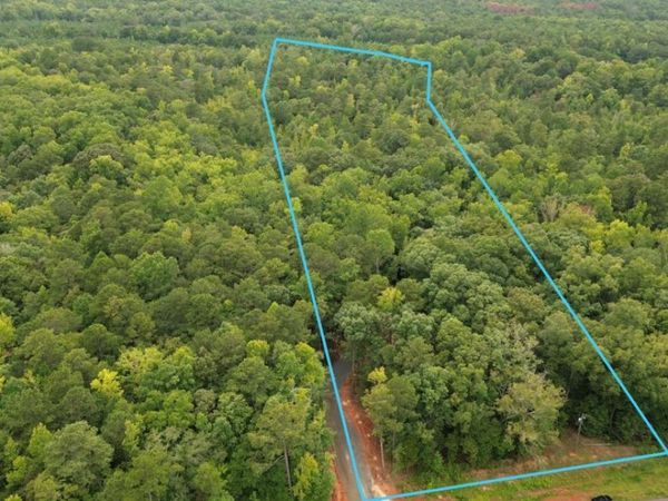 0 Roosevelt HWY, Unit 2, Warm Springs, GA 31830