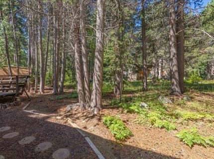 7028 Miami Avenue, Tahoma, CA 96142 Photo
