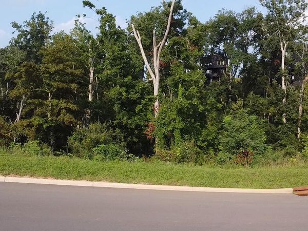 Lot 143 Reedmont Way, Sevierville, TN 37876