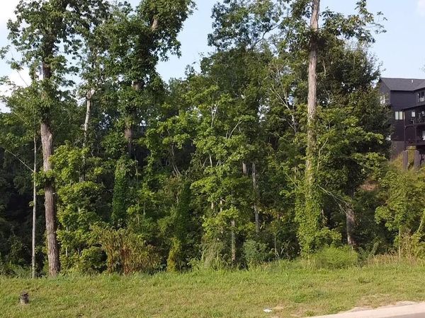 144 Reedmont Way , Unit 144, Sevierville, TN 37876